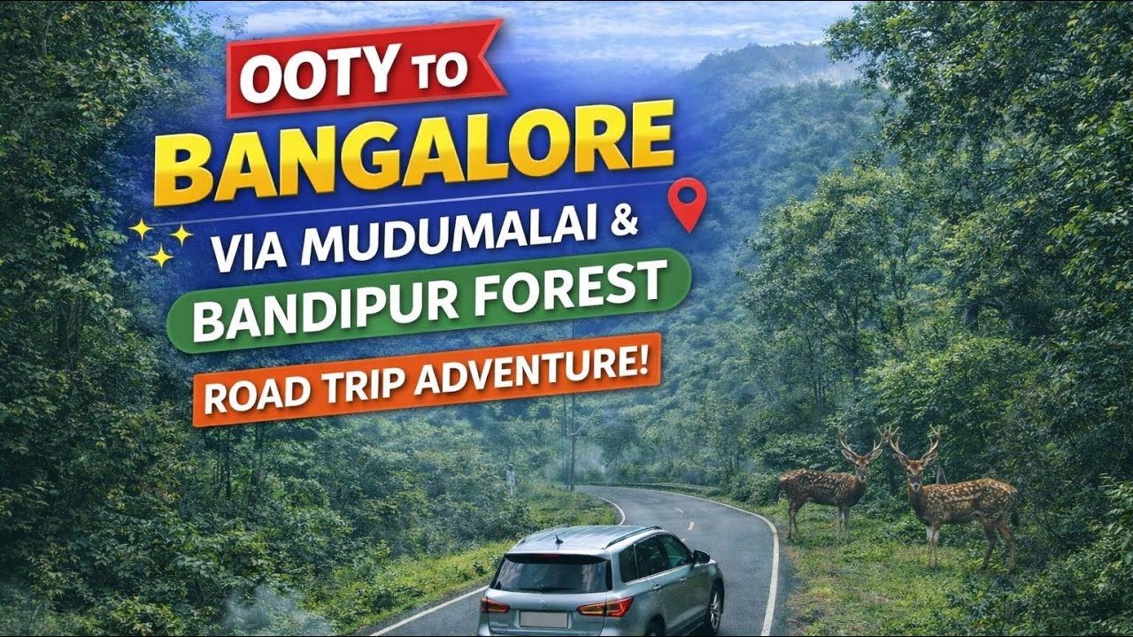 Ooty to Bangalore: A Wild Road Trip Through Bandipur & Mudumalai!