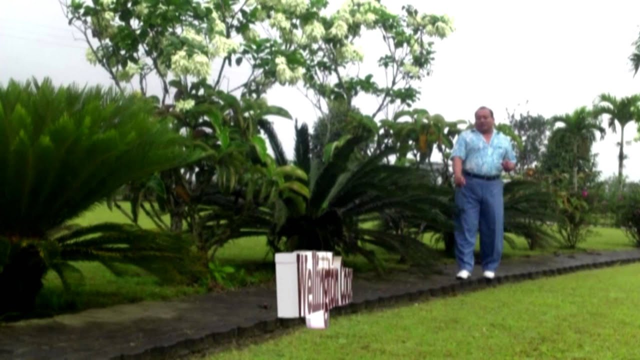 Era el mejor- Wellington coox