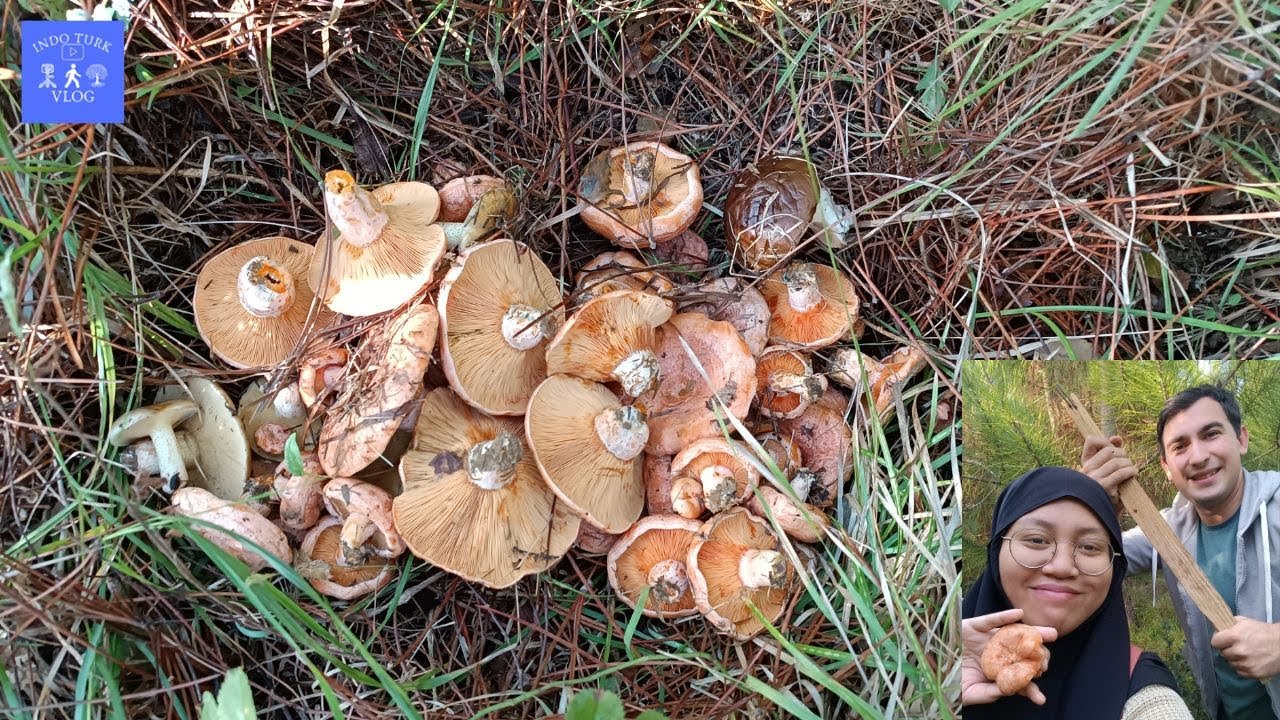 KANLICA MANTARI SEZONUNA SÜPER BİR BAŞLANGICA İMZA ATTIK (VLOG 36)