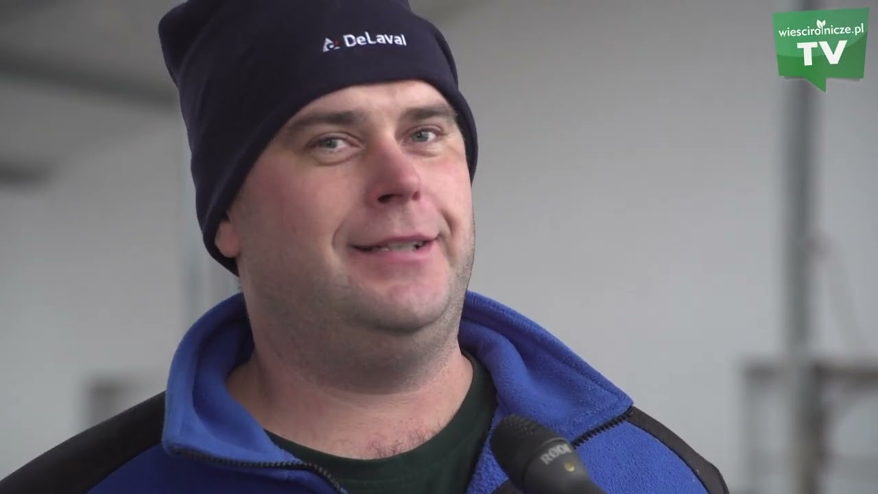 Nowa obora Michałowicz&oacute;w. 65 kr&oacute;w, roboty i zmiana żywienia