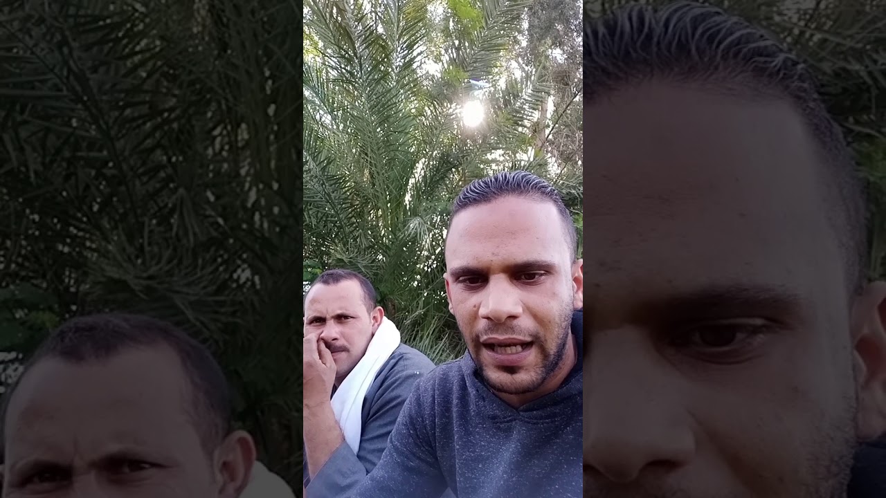 الهياتم اليوم