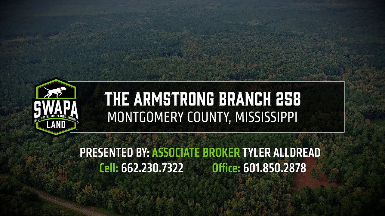 The Armstrong Branch 258 | Montgomery County, Mississippi | Land For Sale
