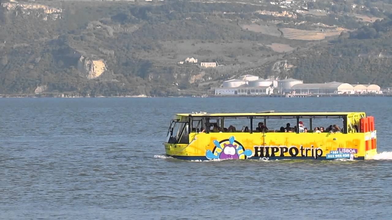 The Hippo Tour