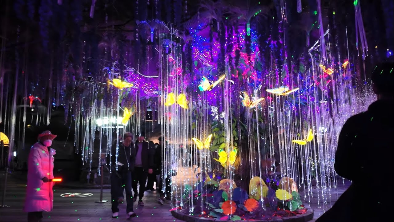 Visit Gwangmyeong cave 40mins to 1 hour from central Seoul