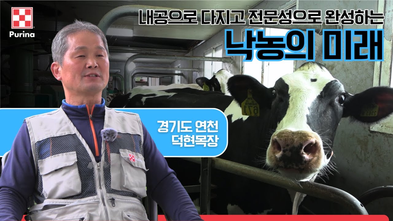 내공으로 다지고 전문성으로 완성하는 낙농의 미래 | 히든챔피언을 찾아서[경기 연천 덕현목장]
