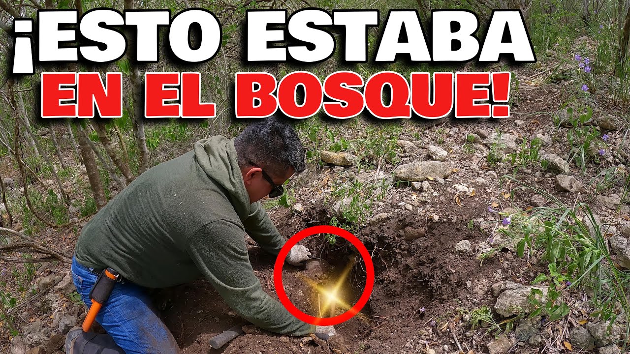 Lo que ENCONTR&Eacute;  ENTERRADO en este BOSQUE me sorprendi&oacute;, Metales del pasado