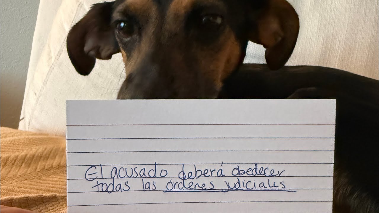Spanish to English Court Interpreter Practice 