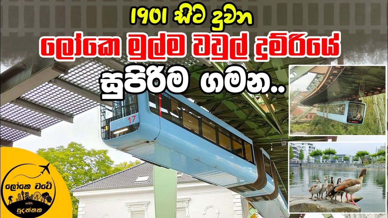 🇩🇪 ලෝකෙ මුල්ම වවුල් දුම්රිය මෙන්න