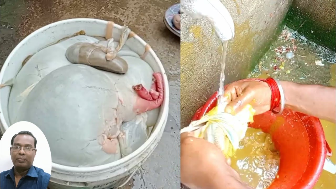 बकरे की पचौनी साफ करने का सबसे आसान तरीका|how to clean goat intestine|muttonpachoni #bavarikitchen