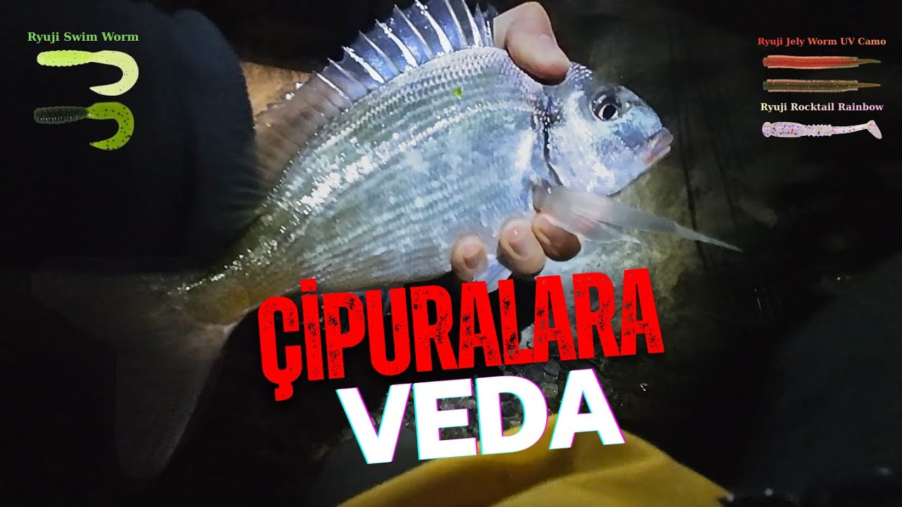Çipuralara Körfezde Veda! 🎣| Bölüm #6 Çeşit Çeşit Silikonla Bol Balık! #lrf #izmir