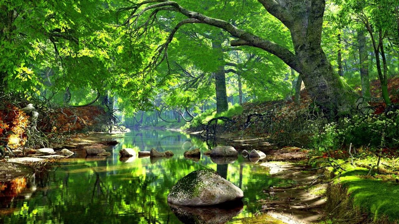 Calming Raga ~ Relaxing Flute Music with Nature Sounds