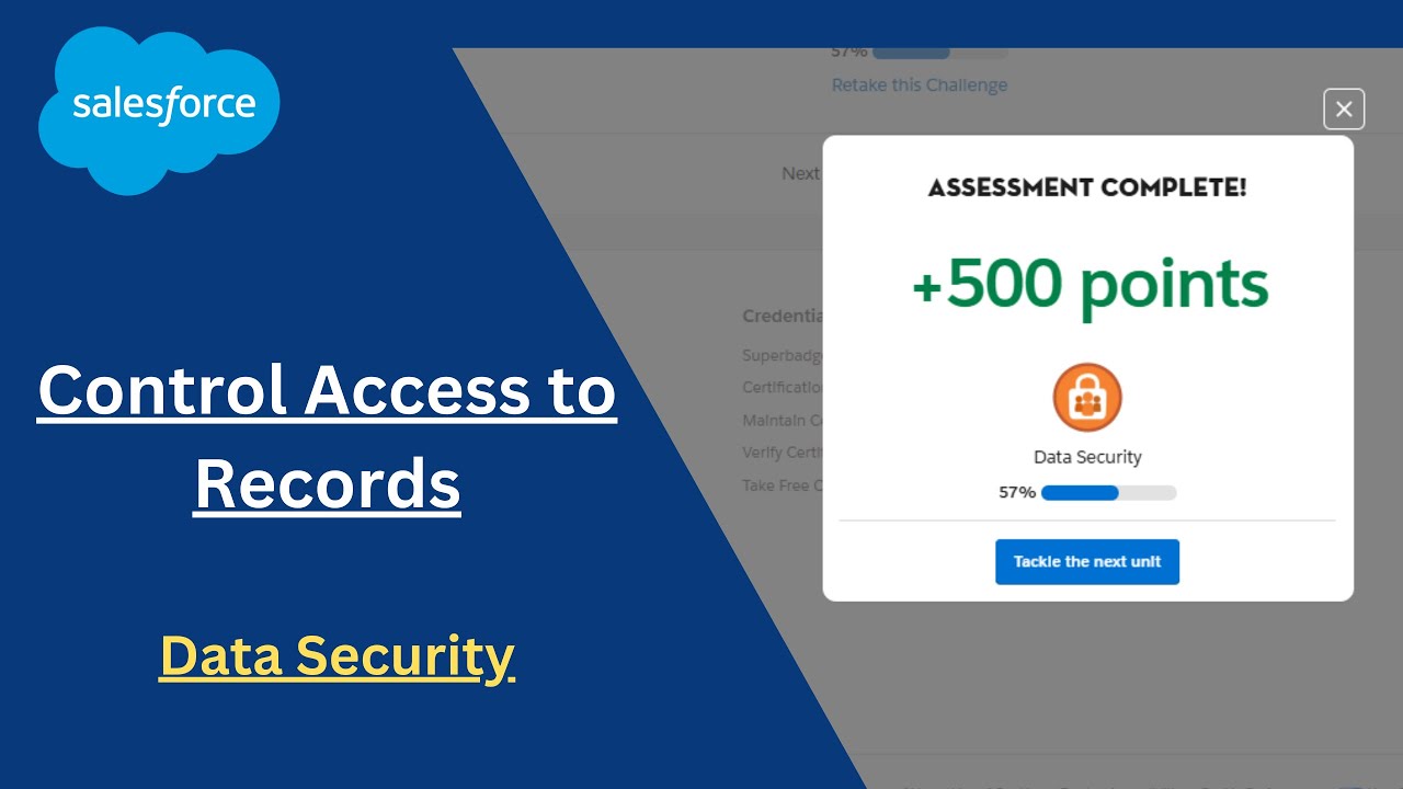 Control Access to Records | Data Security | Trailhead / Salesforce
