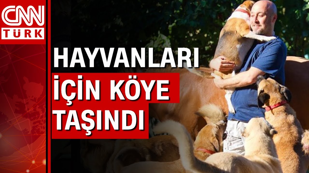 Bakıma muhtaç hayvanlar için köye yerleşti
