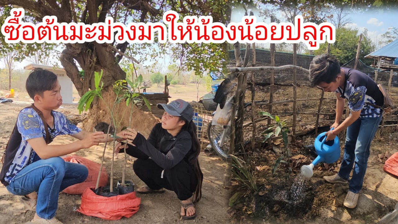 ไม่คิดว่าน้องน้อยจะพูดแบบนี้บ่าวนิวคงหมดสิทธิ์แล้ว🥹 7 มีนาคม ค.ศ. 2026