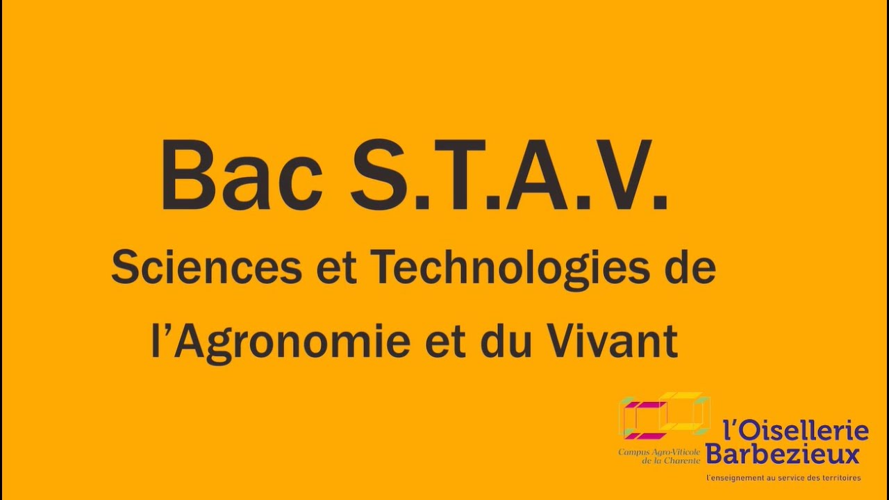 BAC STAV Services