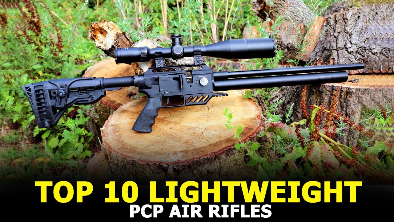 Top 10 Lightweight PCP Air Rifles - Best Airgun for Hunting