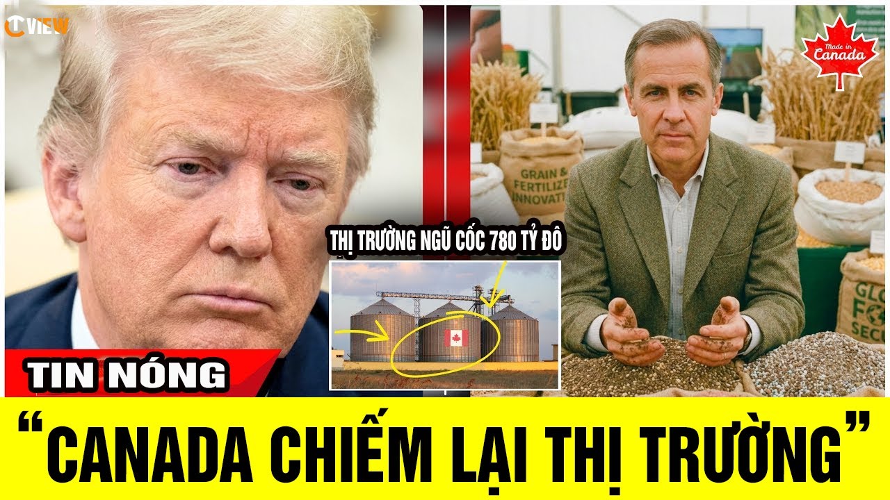 Chiến lược ngũ cốc và phân bón của Canada KHIẾN Mỹ mất thị trường trị giá 780 tỷ đô la