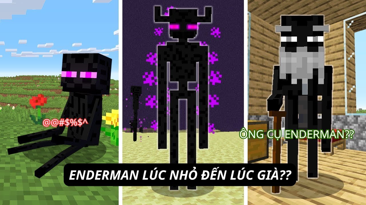 Từ lúc sinh ra đến lúc ngỏm củ tỏi của Enderman trong Minecraft
