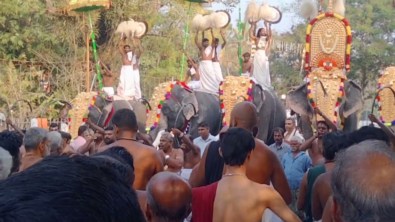 പള്ളാംത്താംകുളങ്ങര പൂരം pooram ആനചന്തം 