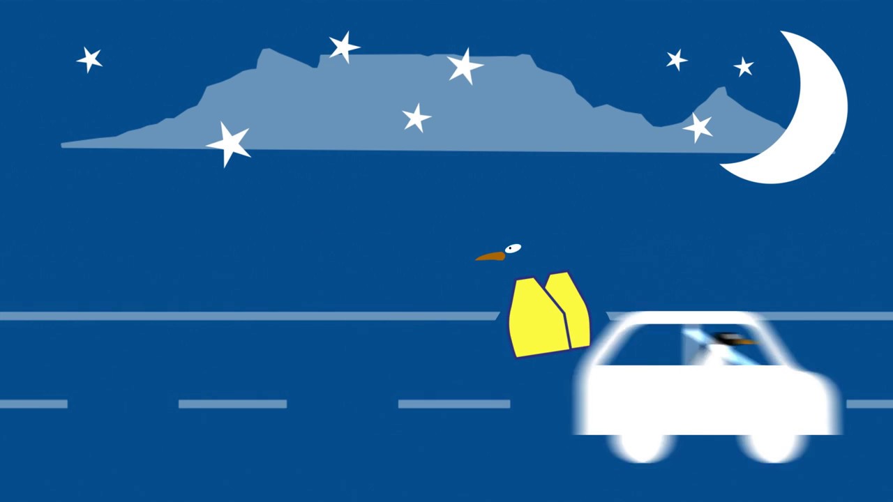 Pikkie Penguin in #SeeAndBeSeen: Pedestrians
