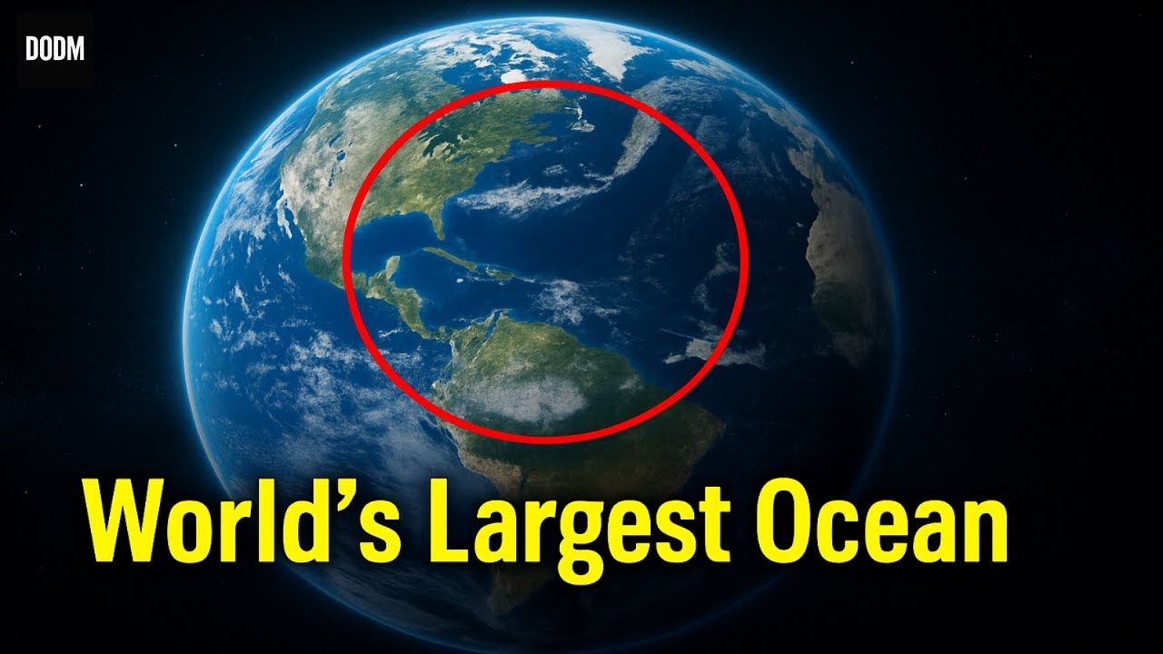 Pacific Ocean Incredible Facts You&rsquo;ve Never Heard | DODM Documentary 2025