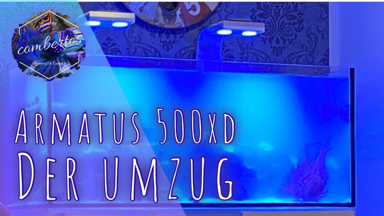 Armatus 500xd MWA #4 | Der Umzug |