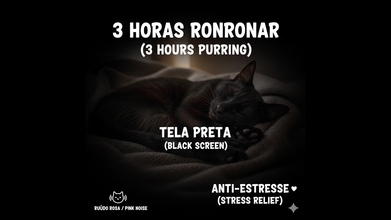 3 HORAS Ronronar de Gato para Dormir (Tela Preta) 🐈 Cat Purring for Sleep - Deep Relaxation