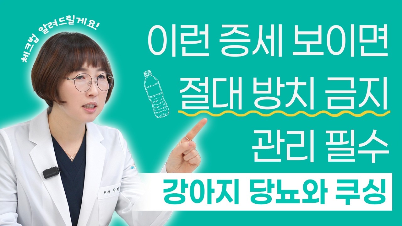 우리아이가 물을 많이마셔요! 수의사가 알려드립니다. 강아지 당뇨&쿠싱증후군 | 24시 솔동물의료센터
