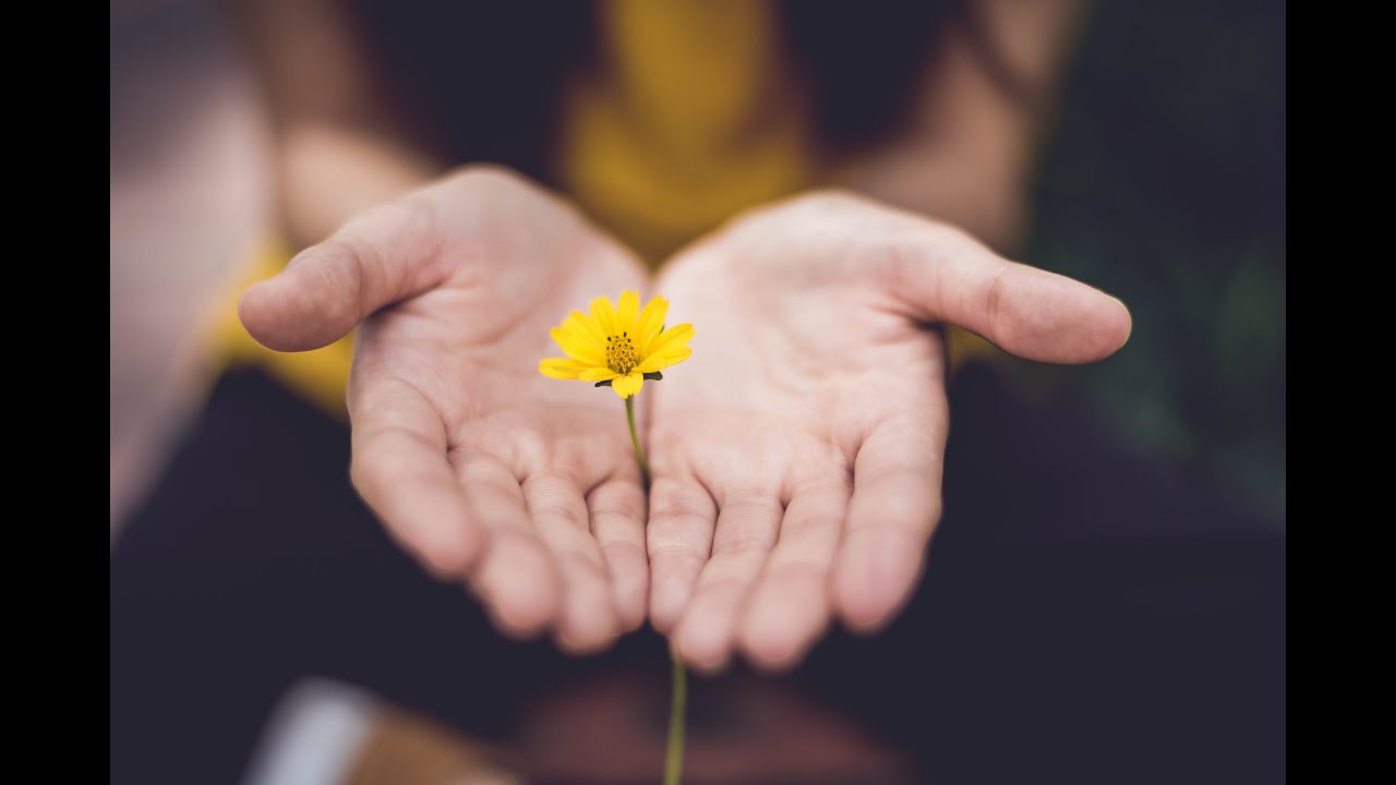The Expanding Future of Spirituality in Mental Healthcare