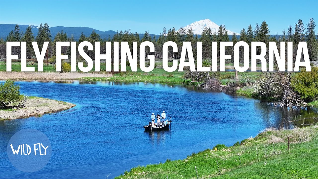 Fishing California's Largest Spring Creek (for Prehistoric Rainbow Trout)