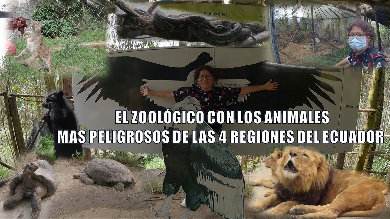 Un día en el Zoo Amaru de Cuenca | Memito Castro