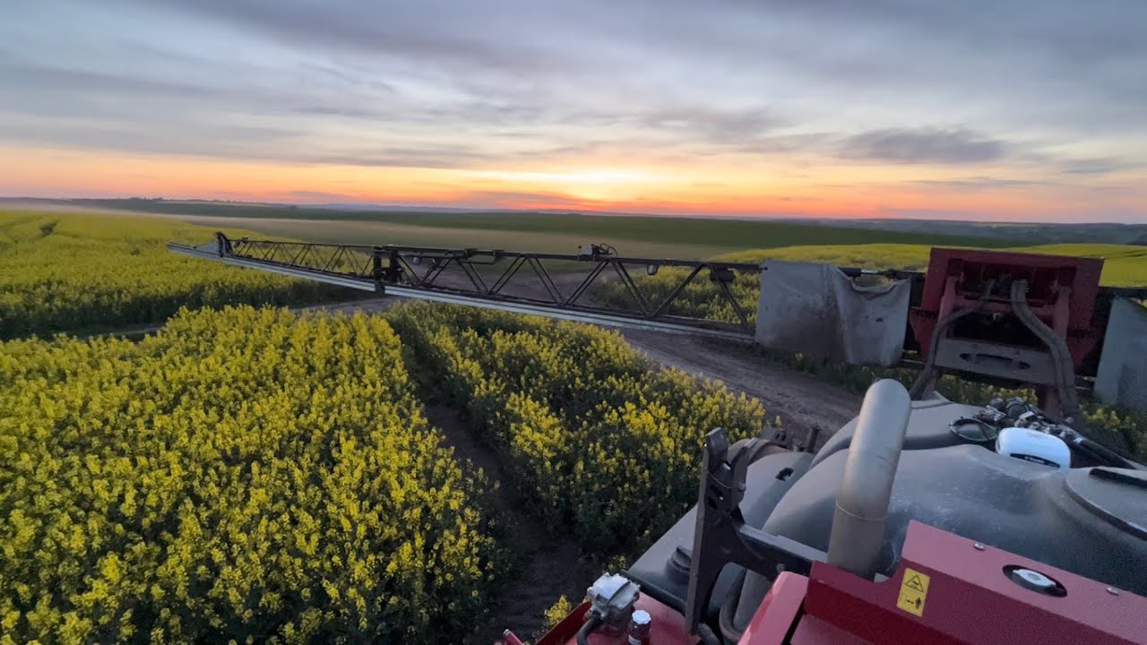 Оприскувач HORSCH Leeb 5VL. Крута машина!!! Швидкість 22км/год!!! Обробіток ріпаку по цвітінню.