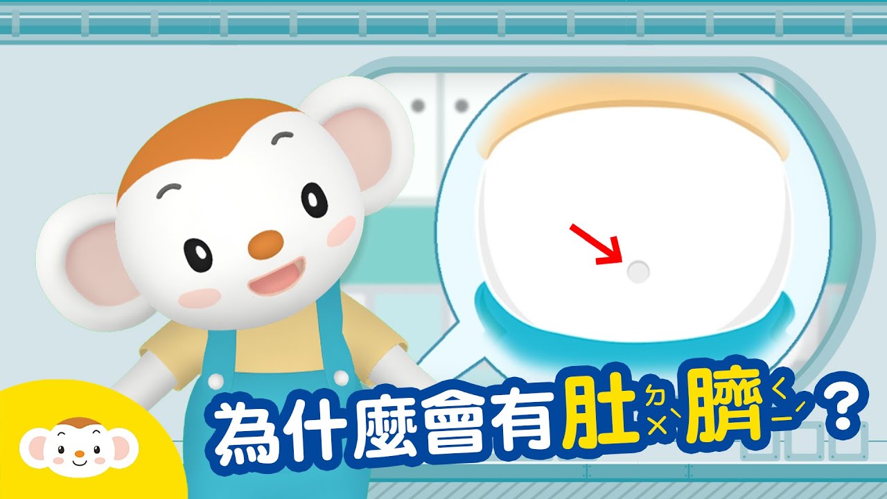 【身體小知識】為什麼有肚臍？肚臍是怎麼來的呢？｜小行星樂樂TV
