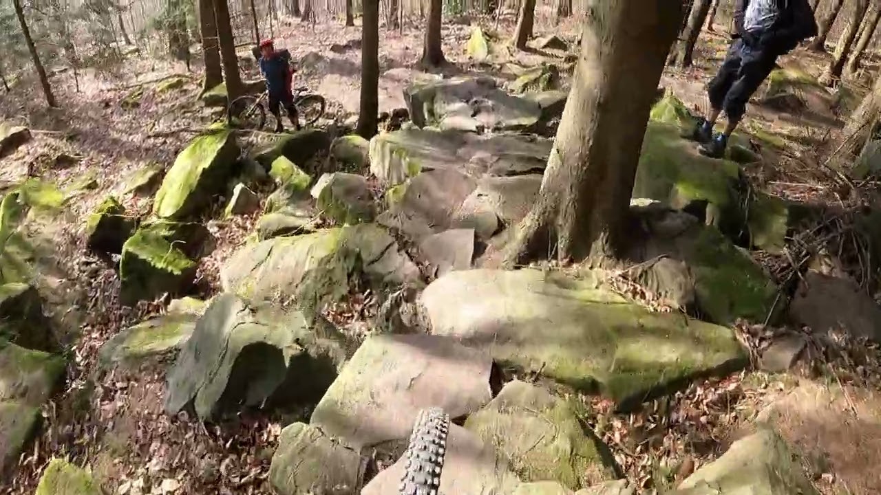 Heidelberg Mtb SKULL TRAIL HD² Kenevo 2020