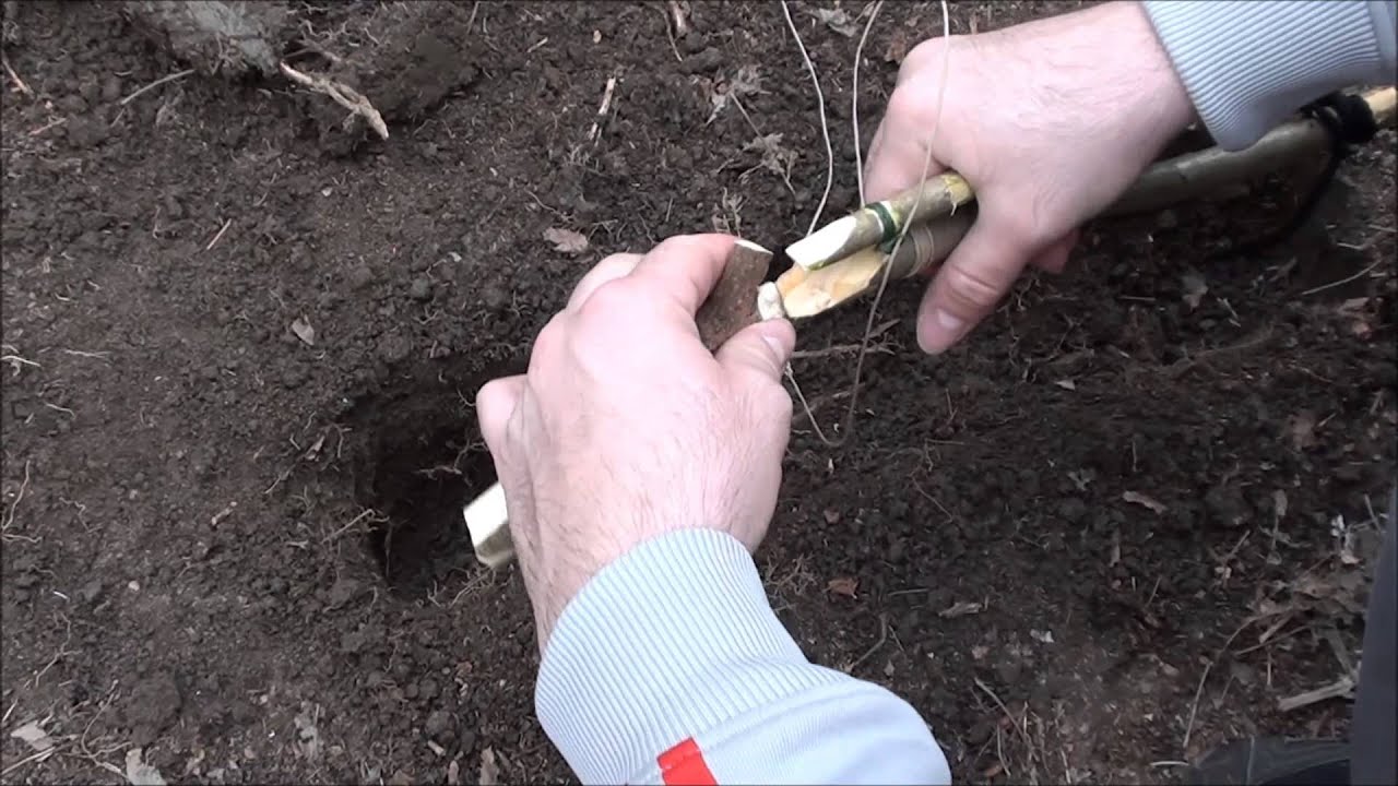 How to make a FOOT SNARE TRAP