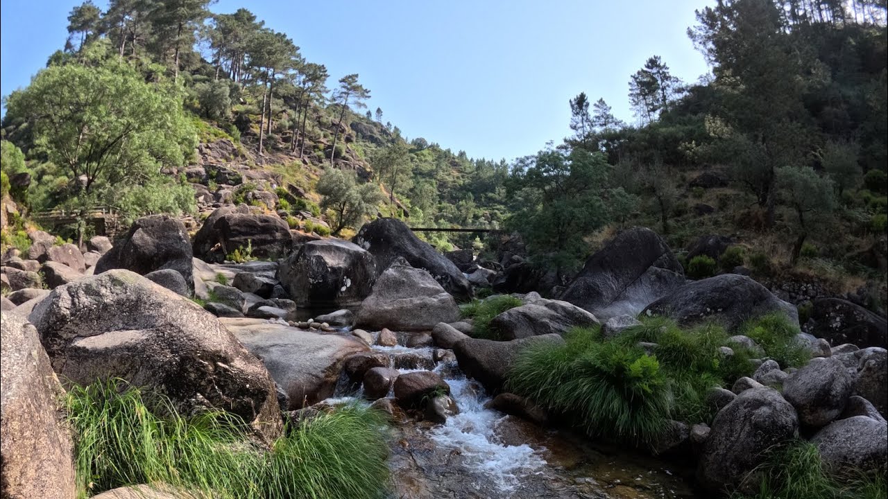 Stream in the Canyon | Forest Water Sounds from Ger&ecirc;s (4K) #nature #relax #portugal #forest