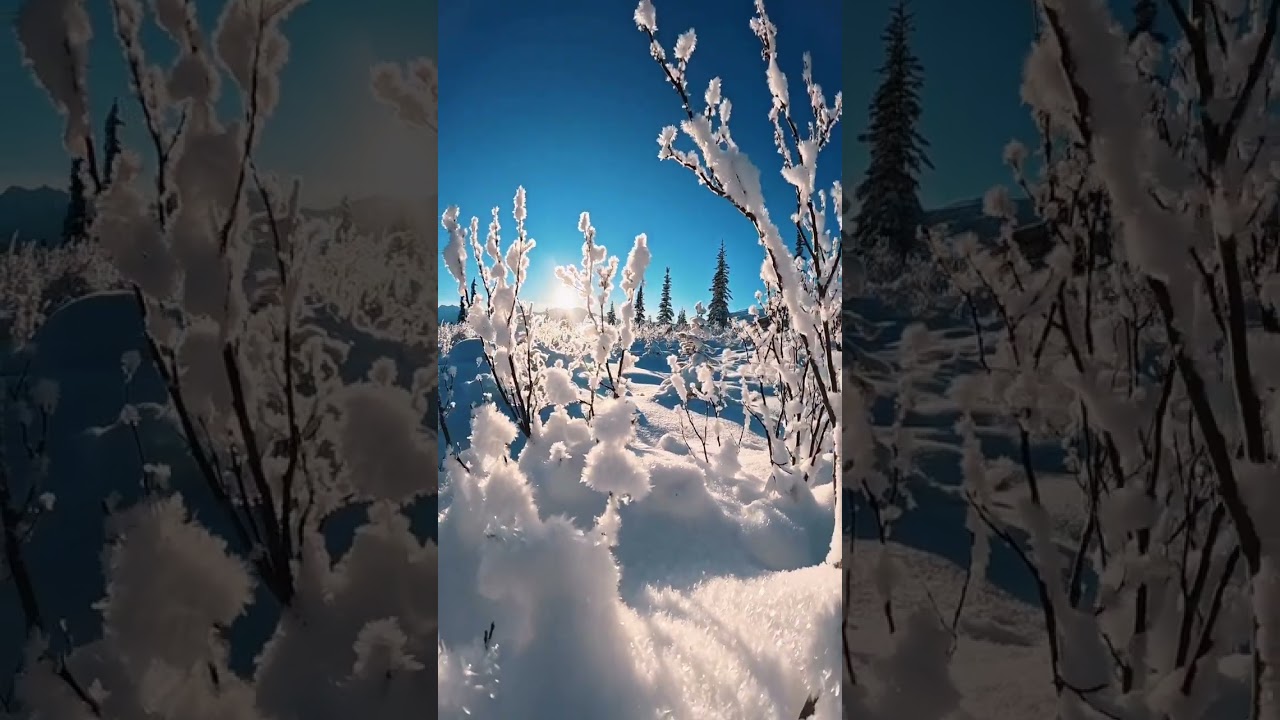 iPHONE Cinematic Video In Snow❄️ #shortvideo #shorts