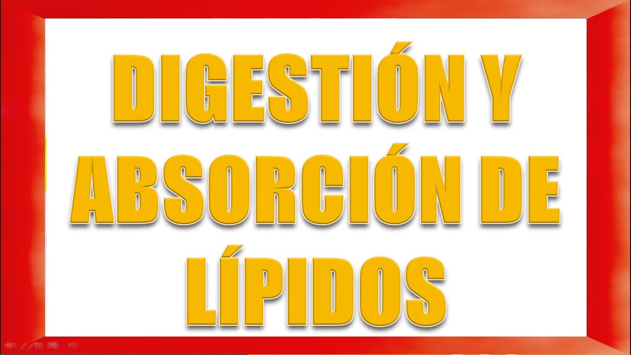 DIGESTIÓN Y ABSORCIÓN DE LÍPIDOS