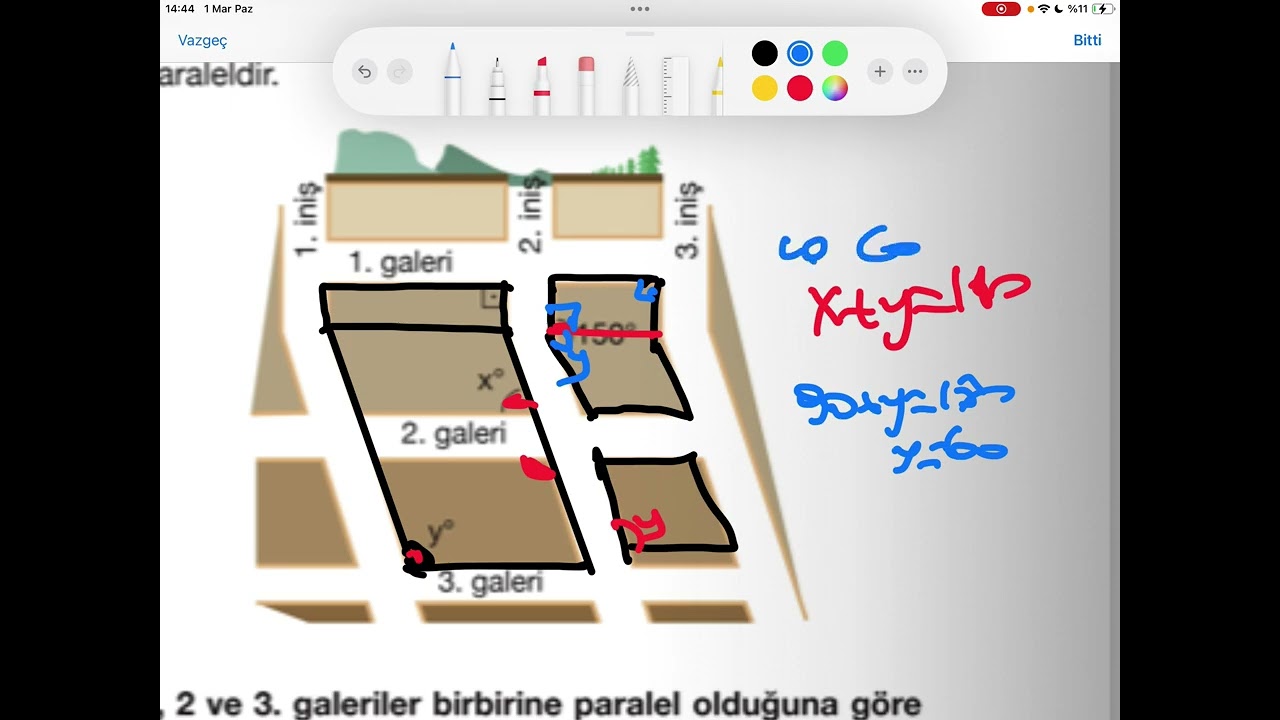 6. Sınıf çokgenler 2026