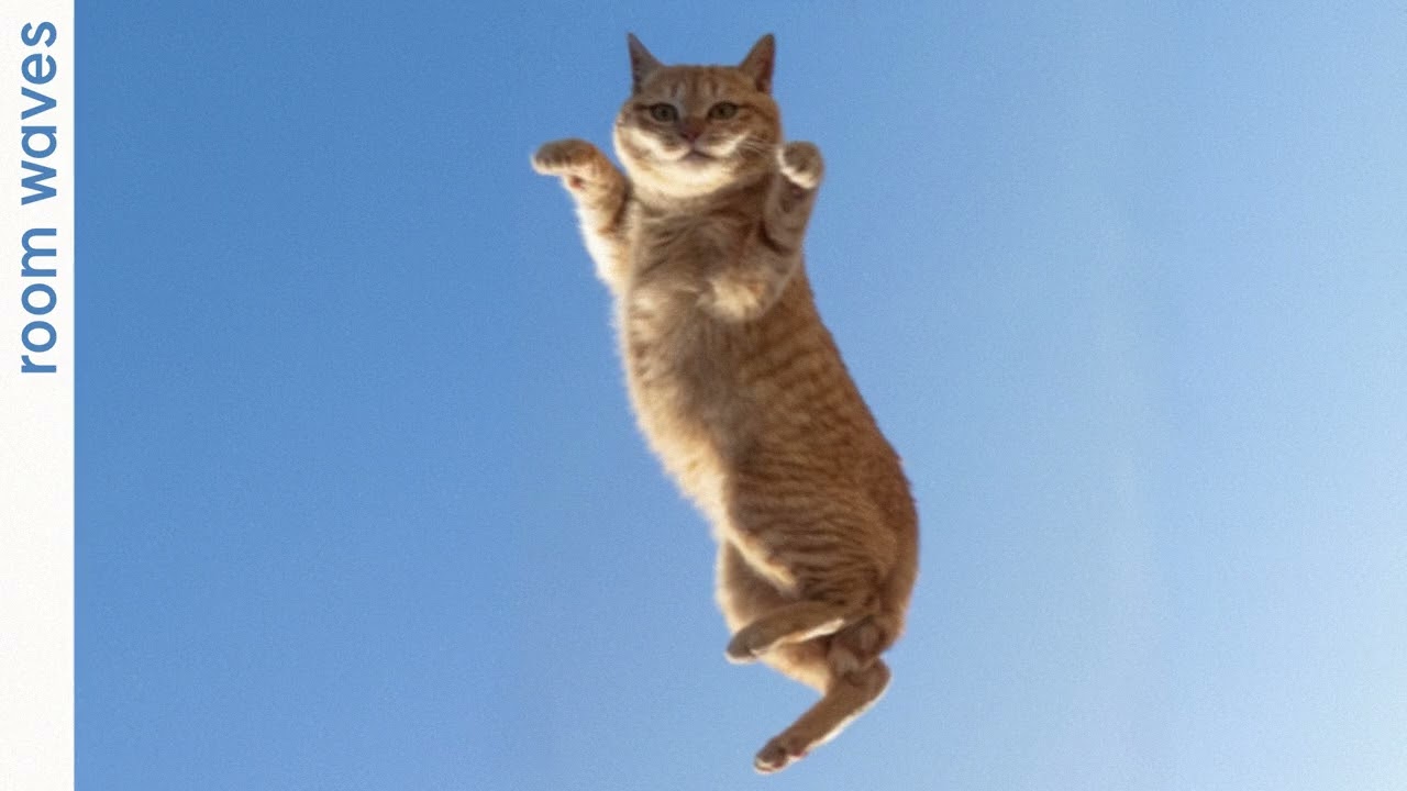 i can fly