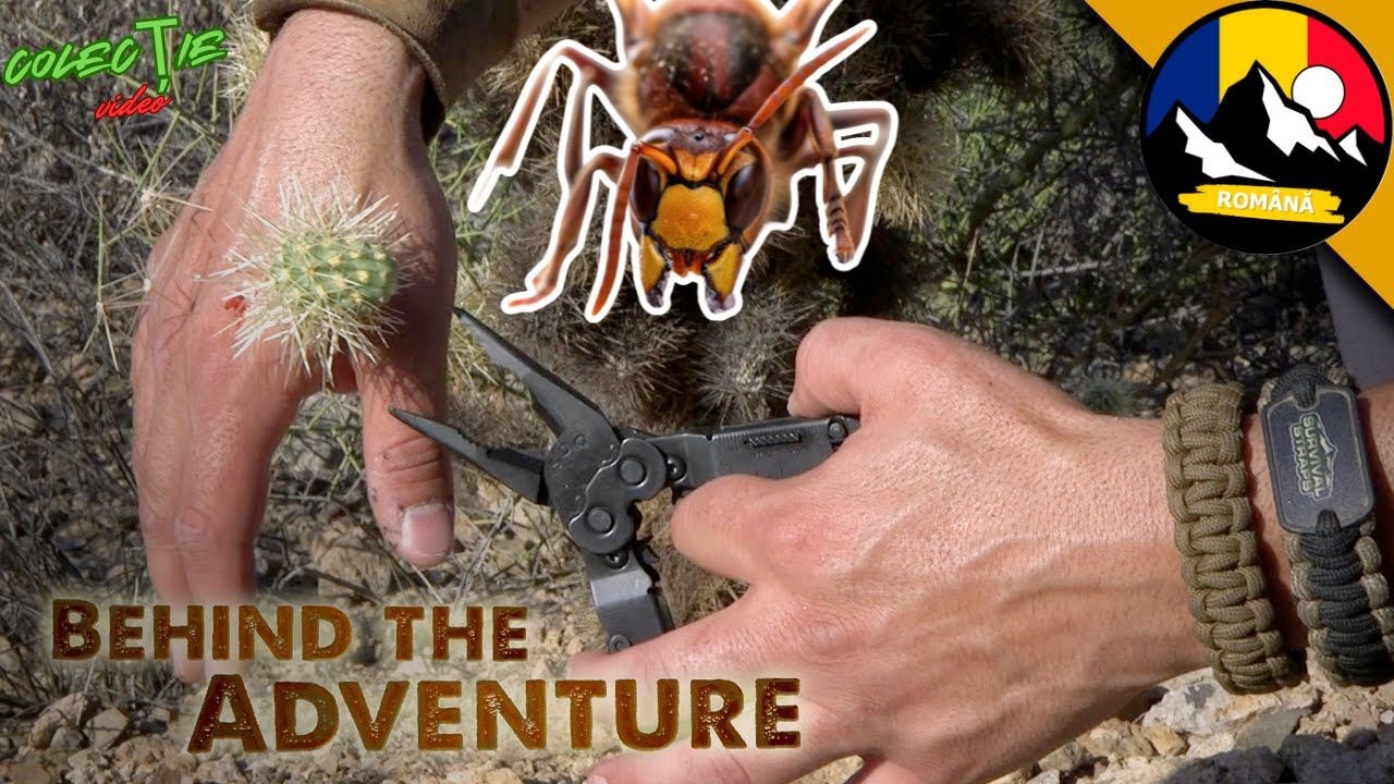 Atac de cactus săritor! Plante carnivore! Pericol de viespe ucigașă! Instrucțiuni de supraviețuire