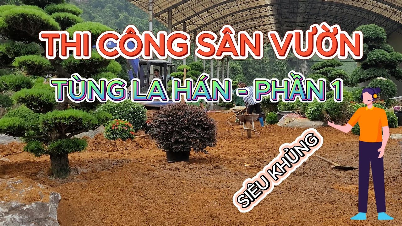 Thi Công Sân Vườn Tùng La Hán SIÊU KHỦNG ( phần 1 )