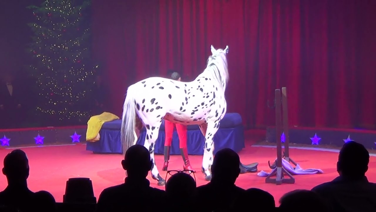 Merrylu Casselly & das Bettpferd Cyrano, Premiere, inc Übergabe, Weihnachtszirkus Stuttgart 8.12.22