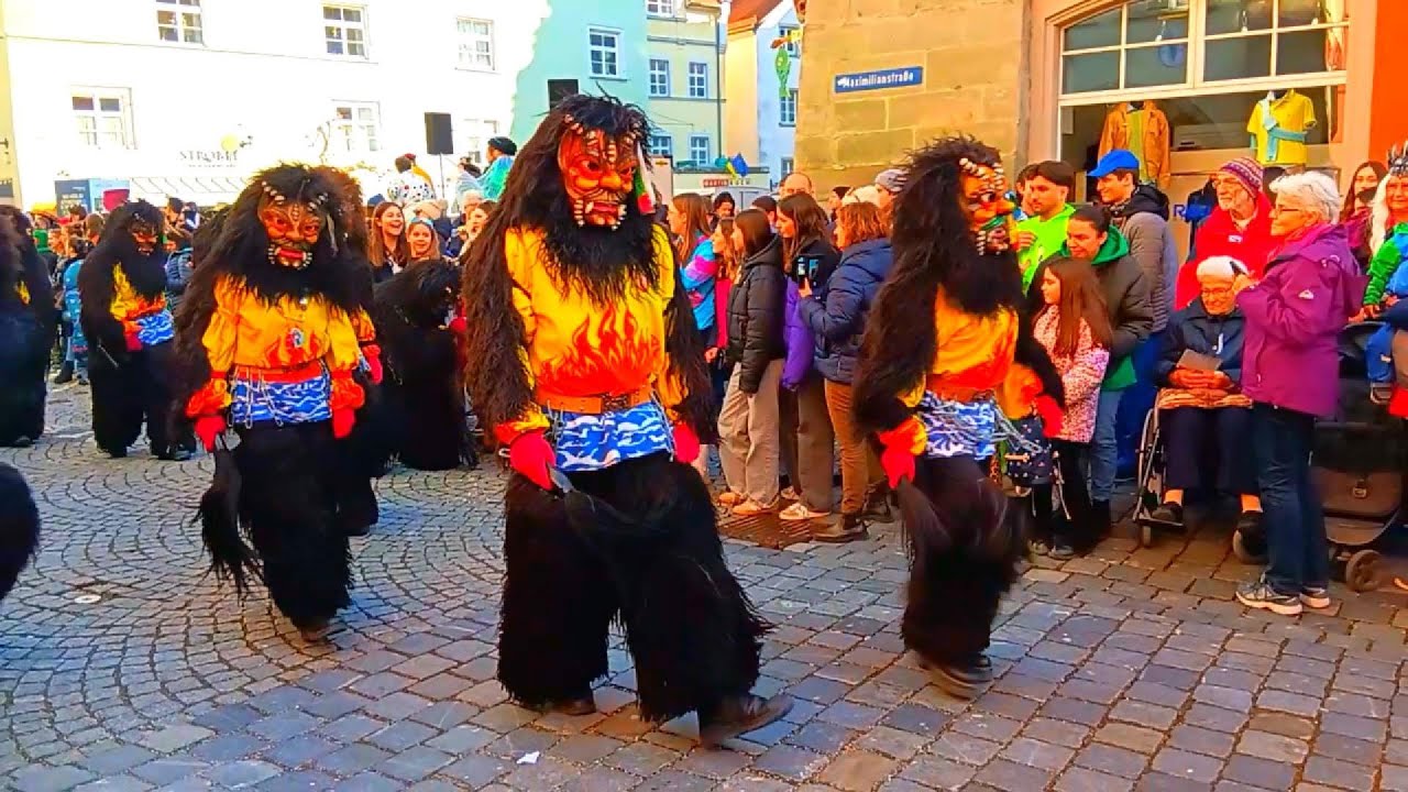 Fasnachtsumzug Lindau 2025