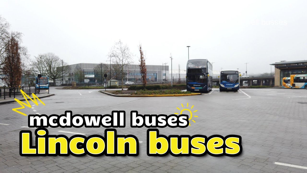 LINCOLN BUSES
