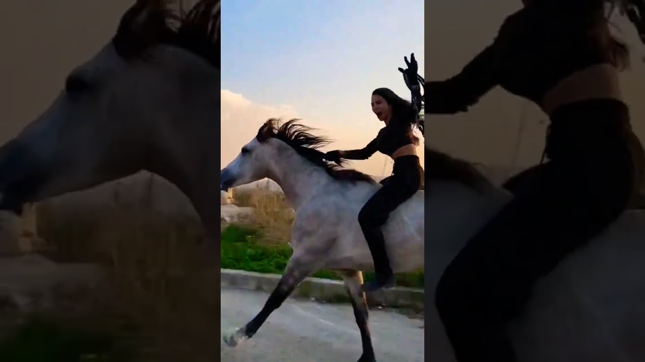 #cavalos #cavalomarchador #cavalo #mangalarga #horse #cavalosselados #vaquejada #mangalargamarchador