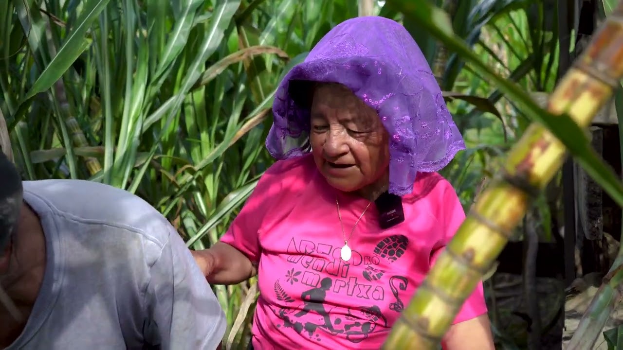 Así cultivo mi caña en Ecuador.