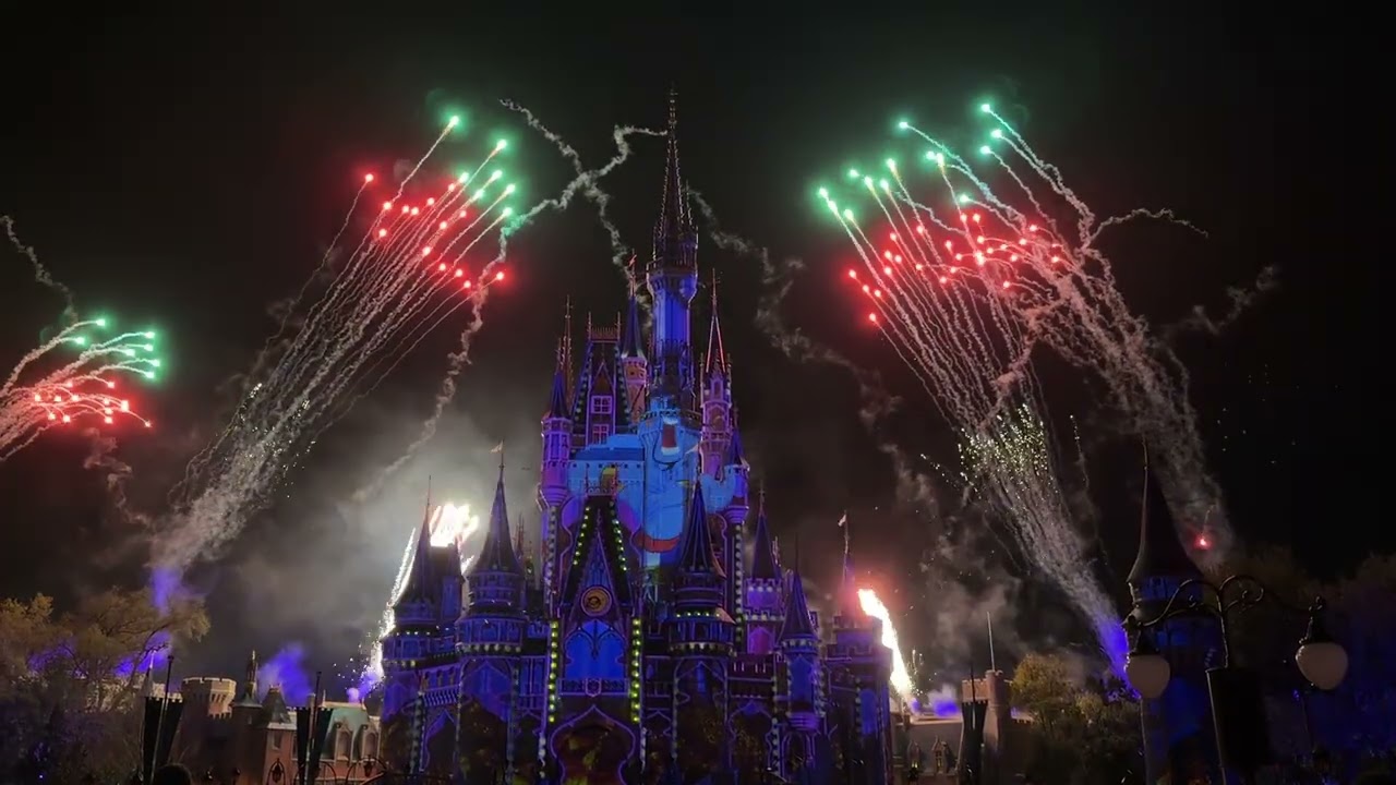 Disney World Happily Ever After show