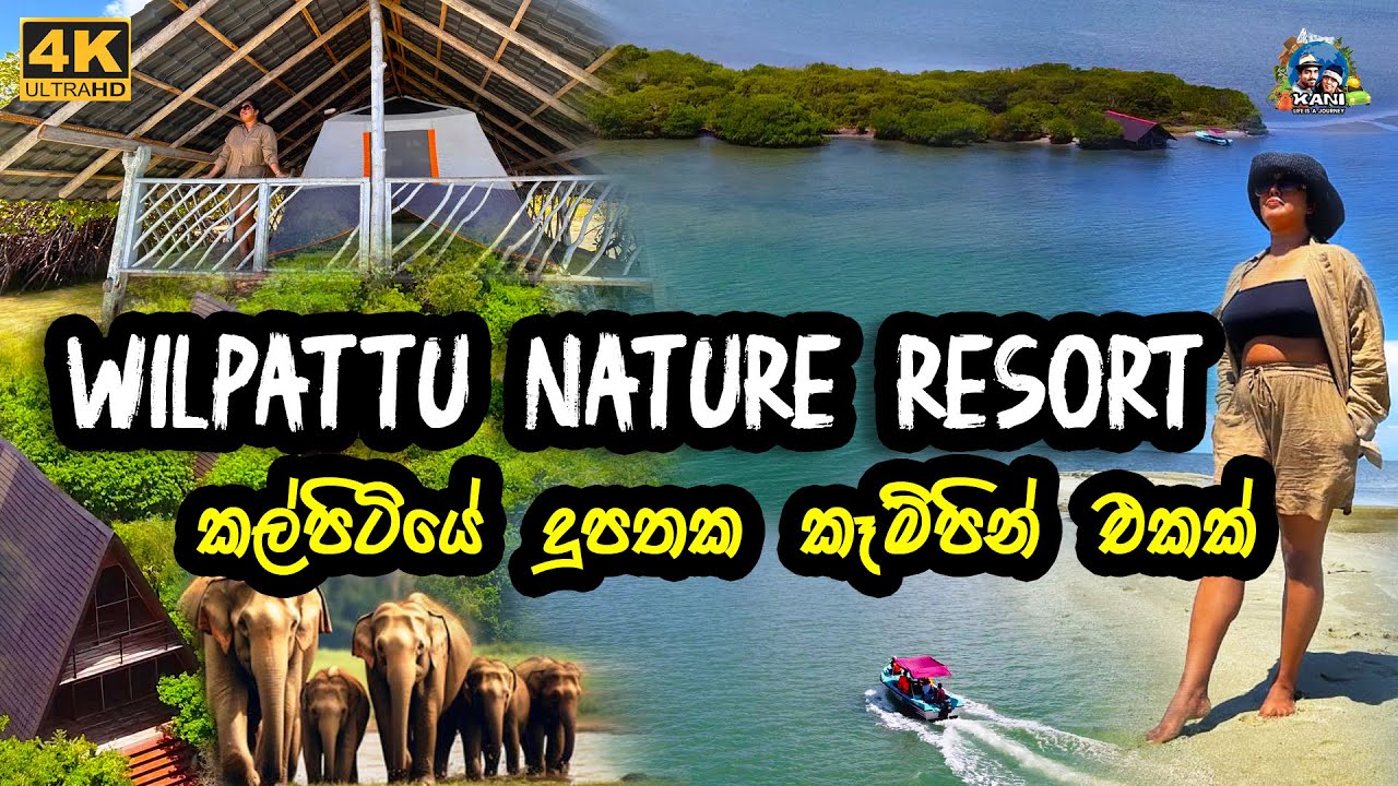 කල්පිටියේ දූපතක Camping කරමු | Wilpattu National Park | safari | Kalpitiya  | Eluwankulama #camping