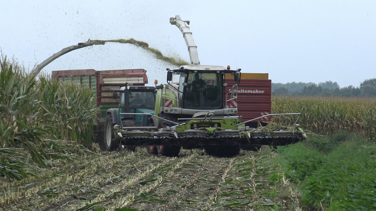 Lohnunternehmen Scholten met 2 Claas Jaguar 950's in de mais (2017)